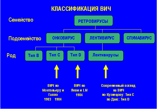 Классификация ВИЧ
